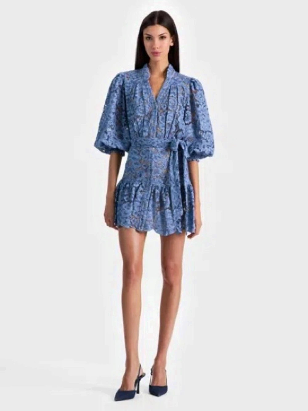 NWT - Alice + Olivia Cora Voluminous Floral Lace Dress